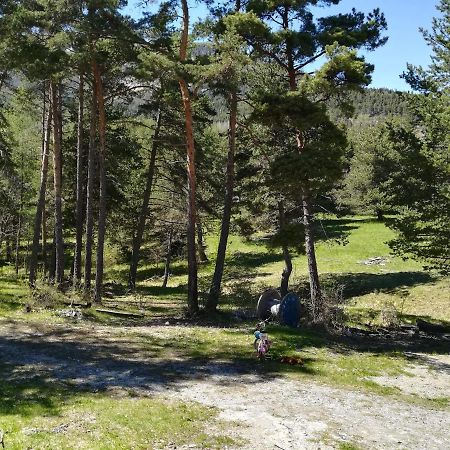 Les Pinees Chateauroux-les-Alpes Exterior foto
