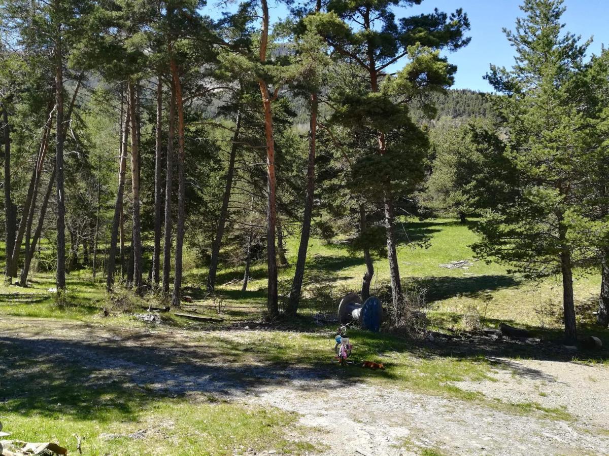 Les Pinees Chateauroux-les-Alpes Exterior foto